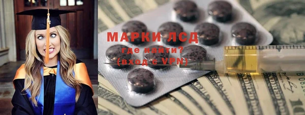 индика Вяземский