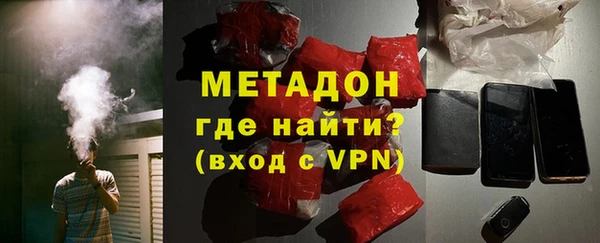 индика Вяземский