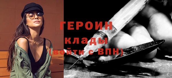 индика Вяземский