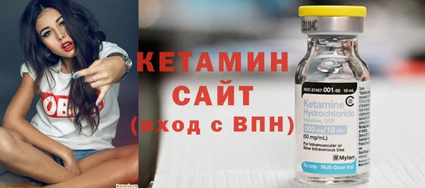 индика Вяземский
