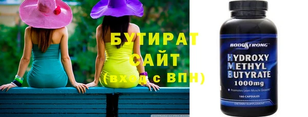 индика Вяземский