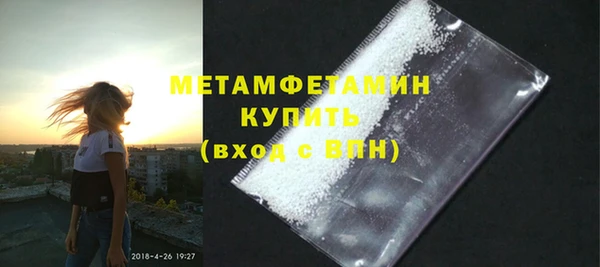 индика Вяземский