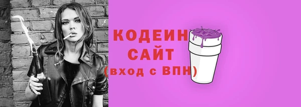 индика Вяземский