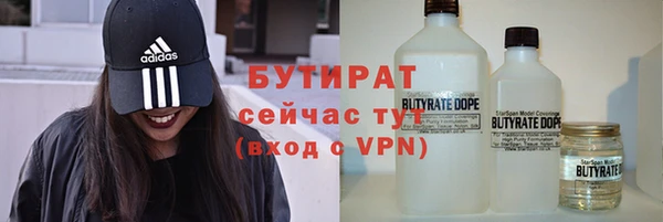 индика Вяземский