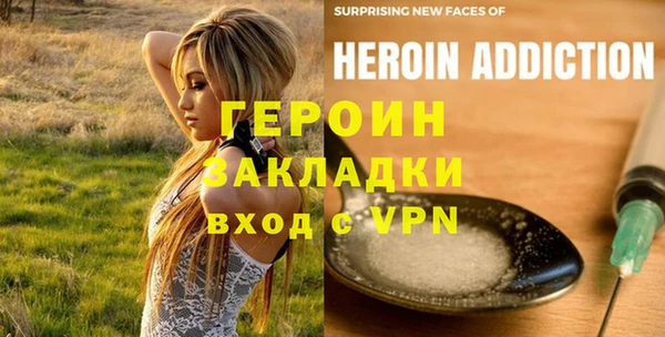 индика Вяземский