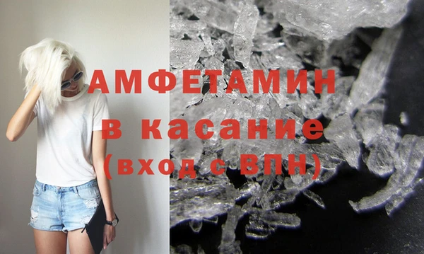 индика Горняк