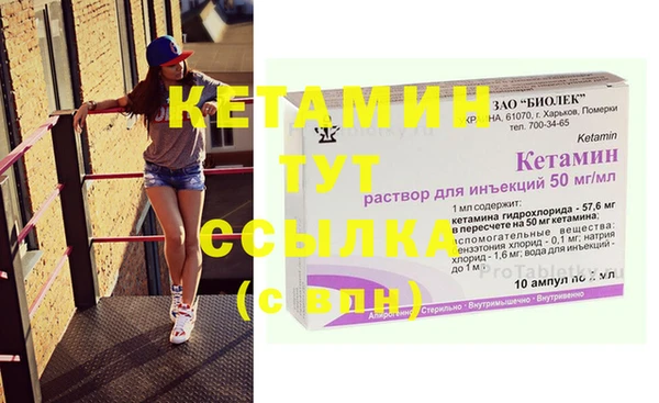 шишки Вязьма