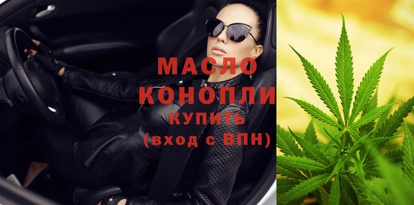 индика Вяземский
