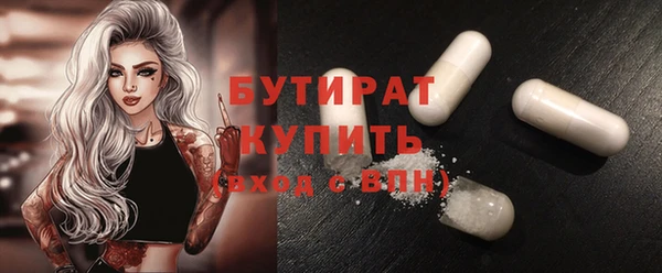 индика Вяземский
