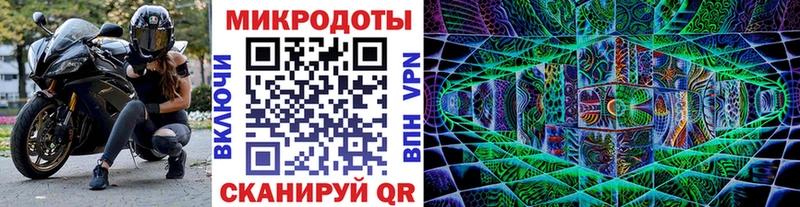 Псилоцибиновые грибы Cubensis Ивангород