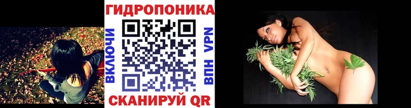 Бошки марихуана AK-47 Ивангород